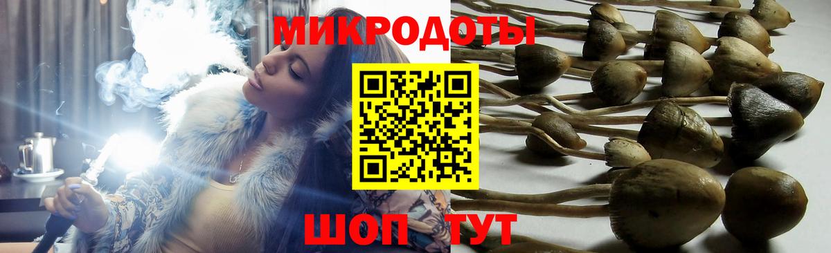 Псилоцибиновые грибы MAGIC MUSHROOMS Ковров